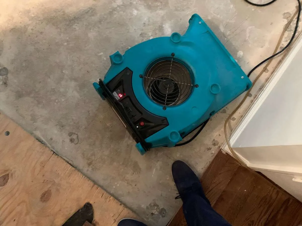 Air mover drying subfloor during Leak Detection & Repair in Garden City